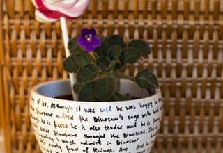 Photo of a flower pot / Fotografija cvetličnega lončka