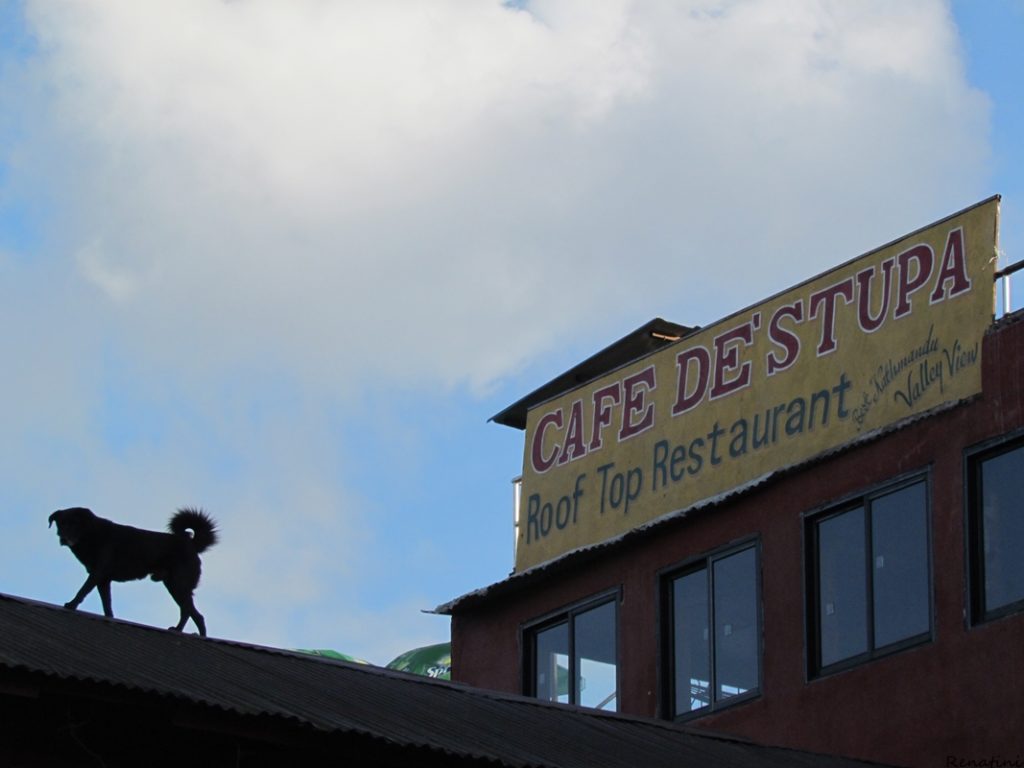 Photo of a restaurant / Fotografija restavracije na vrhu Swayambhunath-a