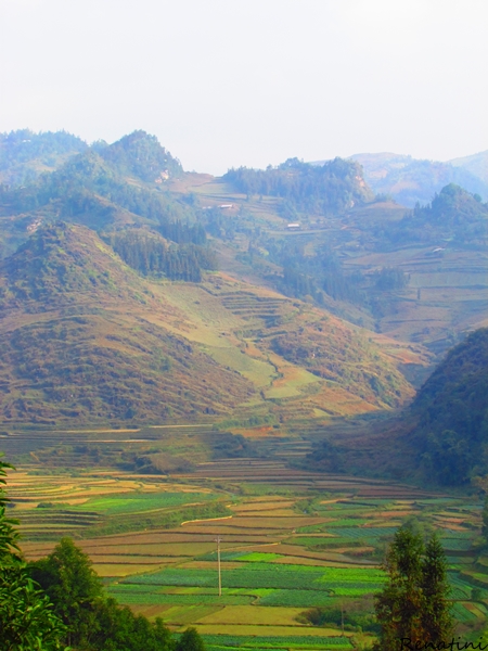 Fotografija polj in teras v okolici Bac He
