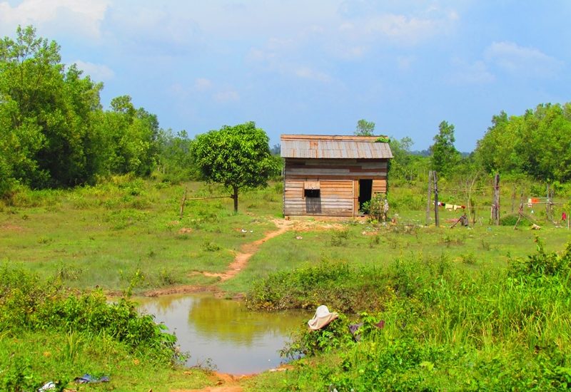 Photo of a house in the countryside / Fotografija hiške na podeželju v okolici Siem Reapa
