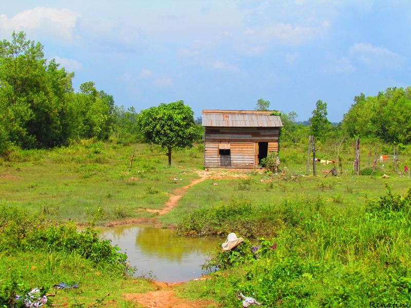 Photo of a house in the countryside / Fotografija hiške na podeželju v okolici Siem Reapa