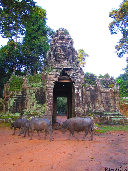 Fotografija vhoda v tempelj