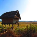 Photo of Laos / Fotografija tipične hiške in polja v ozadju