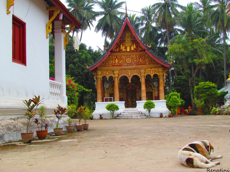 Fotografija budističnega templja v Luang Prabang-u